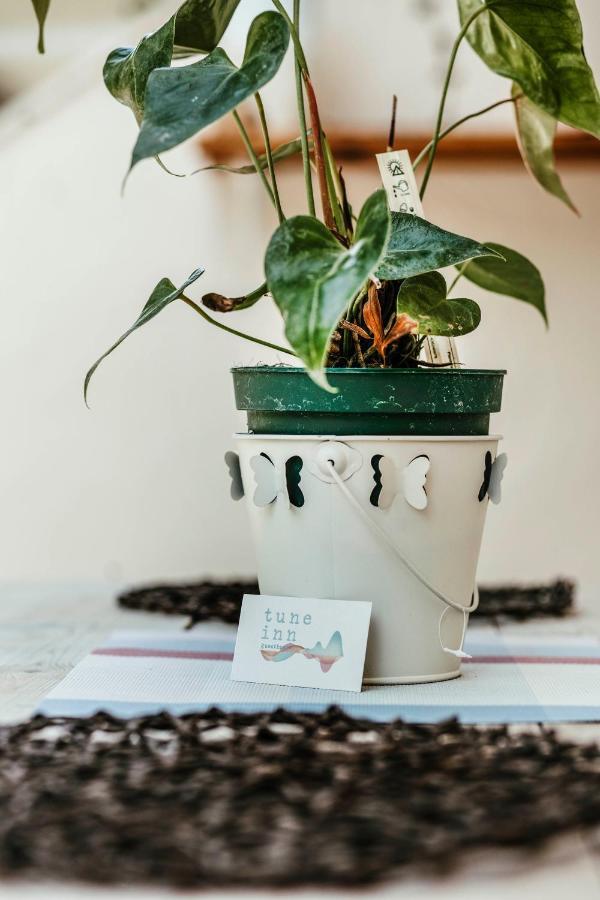 Tune Inn Activity Guesthouse- Over 24'S 阿普索斯 外观 照片